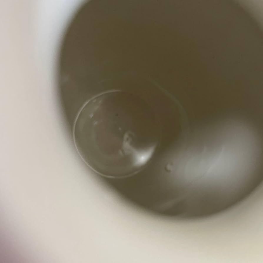 Amazon.co.jp: ケーラー オマジオ ゴールド Sサイズ 175周年限定品